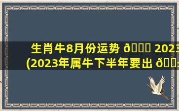 生肖牛8月份运势 🐝 2023(2023年属牛下半年要出 🐱 大事)